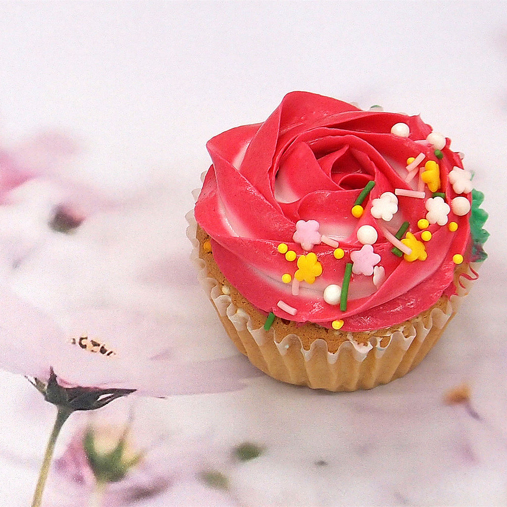 Vegetarian Cake Sprinkles Explained