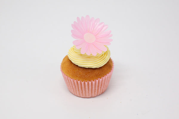 3D Edible Wafer White & Pink Double Daisy - Nuts Free Cake Decoration