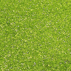 Apple Green Witchery Glitter -No Nut Halal Certified Edible Decoration (Top 14 Allergen Free, Naturally Sourced Ingredients, Plant-based, Clean Label Free From GMO, Hydrogenated Fat, Palm oil, Vegan, BRC, Kosher & FDA)