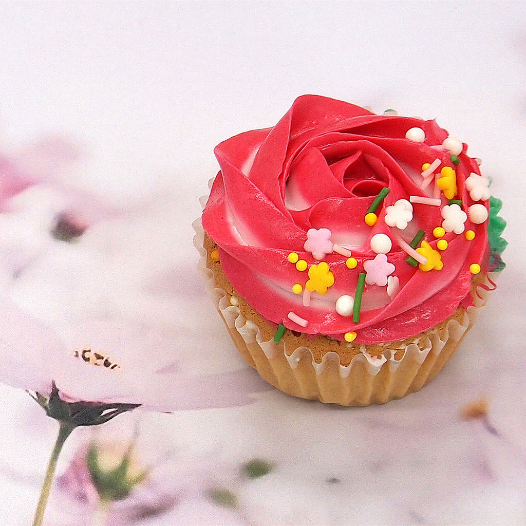 Flower In The Rain - Gluten Free Vegan Sprinkles Mix Cake