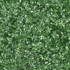 Green Dazzle - No Soya Non GMOs Kosher Certified Edible Decoration (Top 14 Allergen Free, Naturally Sourced Ingredients, Plant-based, Clean Label, Hydrogenated Fat, Palm oil, Vegan, BRC, Halal & FDA)