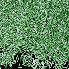 Shimmer Green Jimmies - No Soya Clean Lable Sprinkles Cake Decoration (Top 14 Allergen Free, Naturally Sourced Ingredients, Plant-based, Free From GMO, Hydrogenated Fat, Palm oil, Certified Vegan, BRC, Kosher, Halal & FDA)