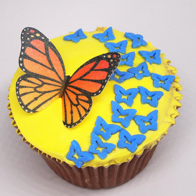 Rainbow Confetti Butterfly - Gluten Free Dairy Free Halal Sprinkles