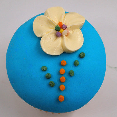 Sweet Dots - No GMOs No Soy Kosher Certified Sprinkles Cake Decoration
